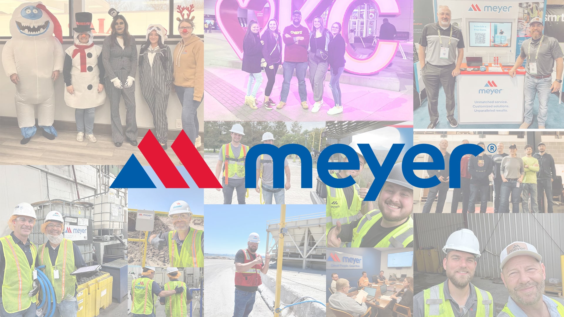 Company Culture | About Us | Meyer Lab